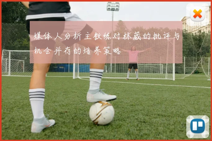 媒体人分析主教练对林葳的批评与机会并存的培养策略
