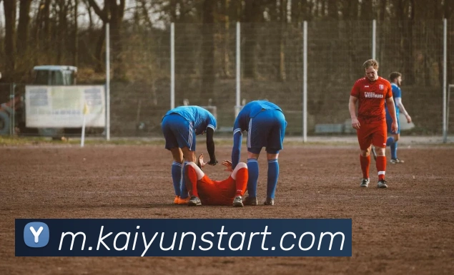 App Interface Preview