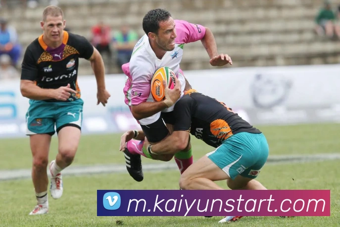 开云体育APP 封面图