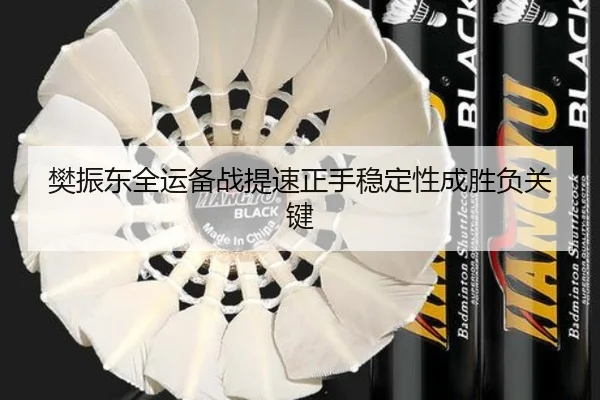 樊振东全运备战提速正手稳定性成胜负关键 - kaiyun